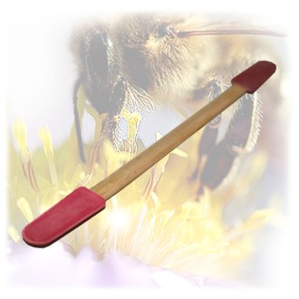 Double wooden royal jelly spoon